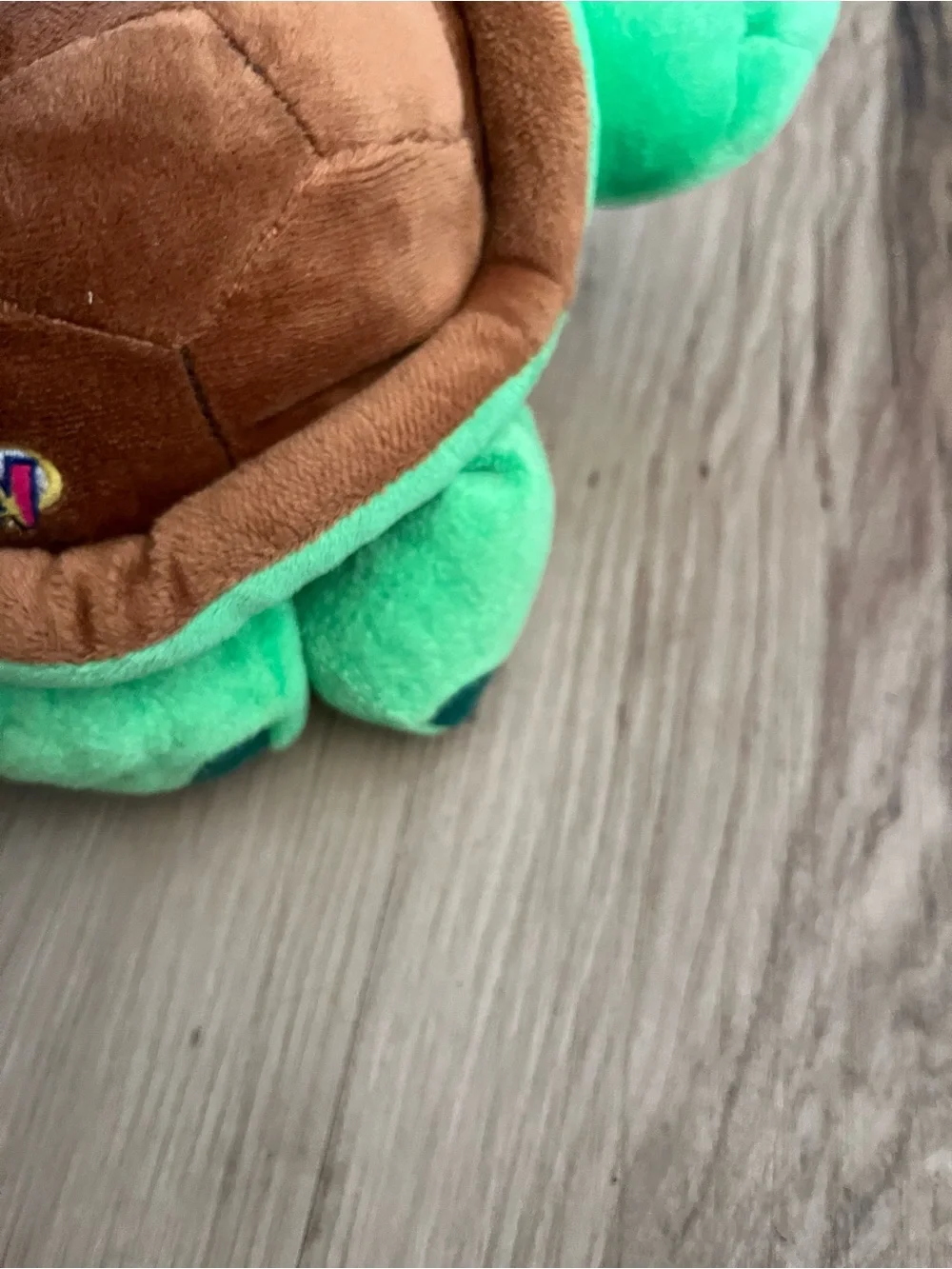 Ganz Webkinz
